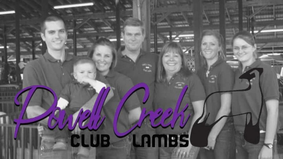 Powell Creek Club Lambs cover image