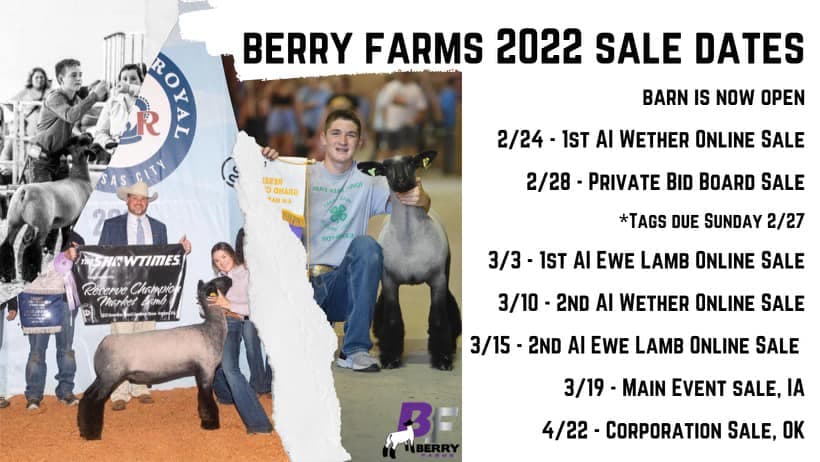 Berry Farms cover image