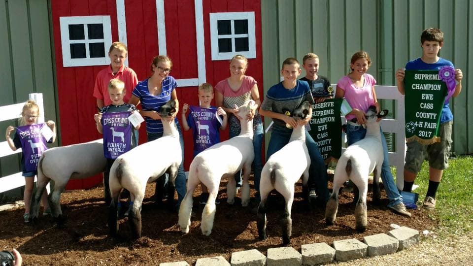 Rudicel Club Lambs cover image