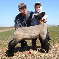Thurston Club Lambs profile image